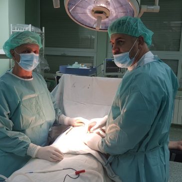 Spousal transplantation of solid organ in Clinical Center Tuzla