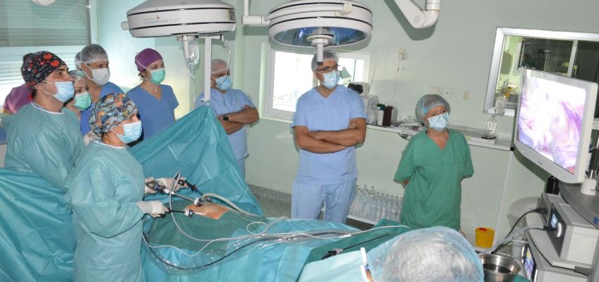 TAPP and TEP Surgical Procedures Workshop