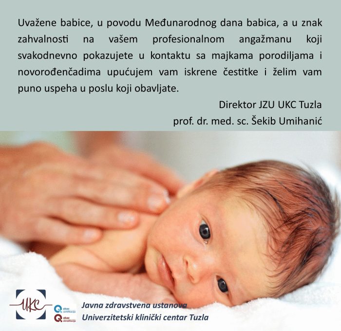 Cestitka DAN BABICA 2024